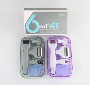 ICE 6 in 1 Derma Roller Kit for Face Body Skin Rejuvenation Customized Packing Accepted